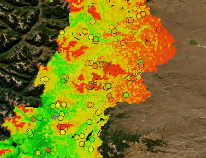 Geoestadística e interpolación espacial
