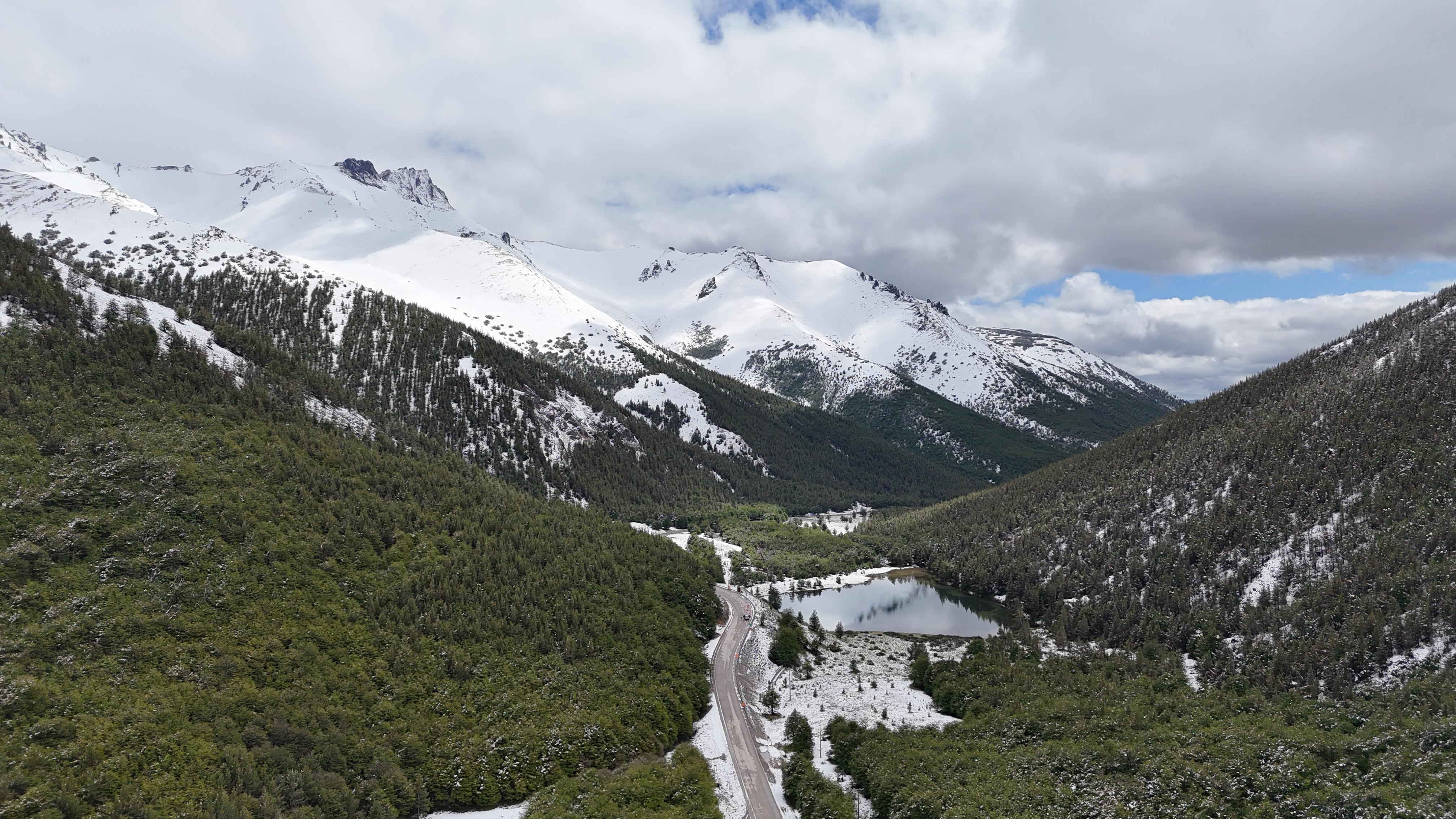 Cordillera y bosque austral