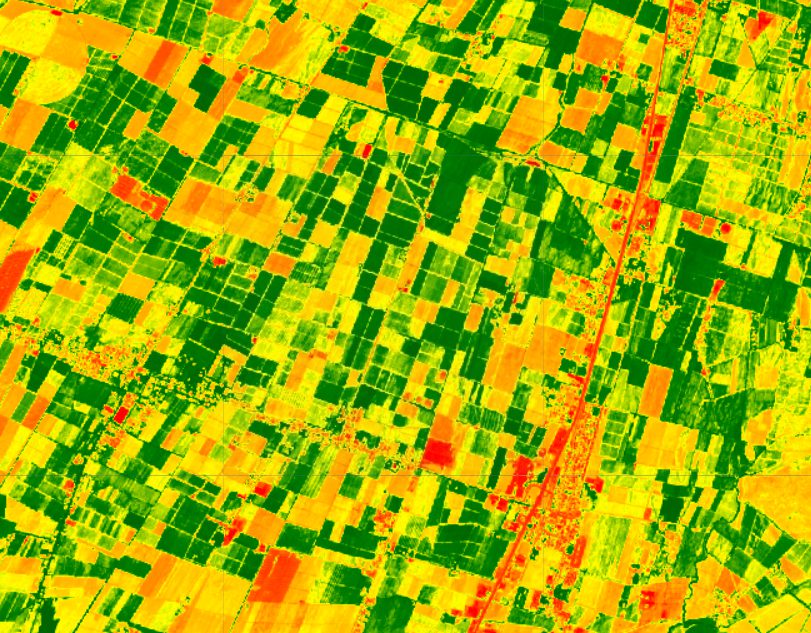 Map of a spectral index derived from multispectral imagery